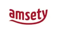 Amsety