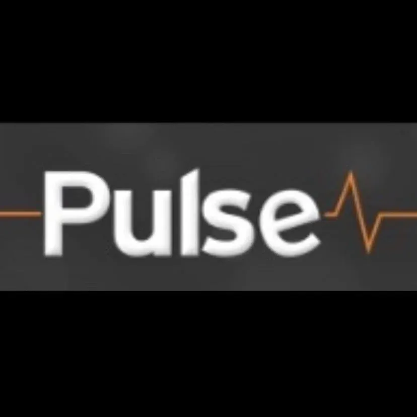 Pulse Car Audio