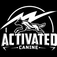 Activated Canine