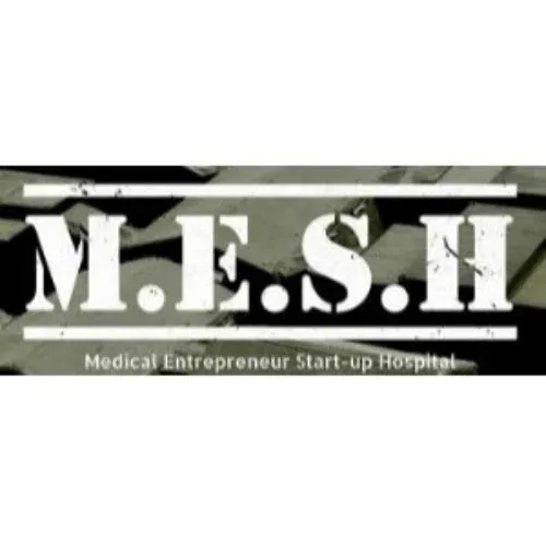 MESH Camp