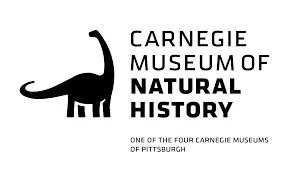 Carnegiemnh