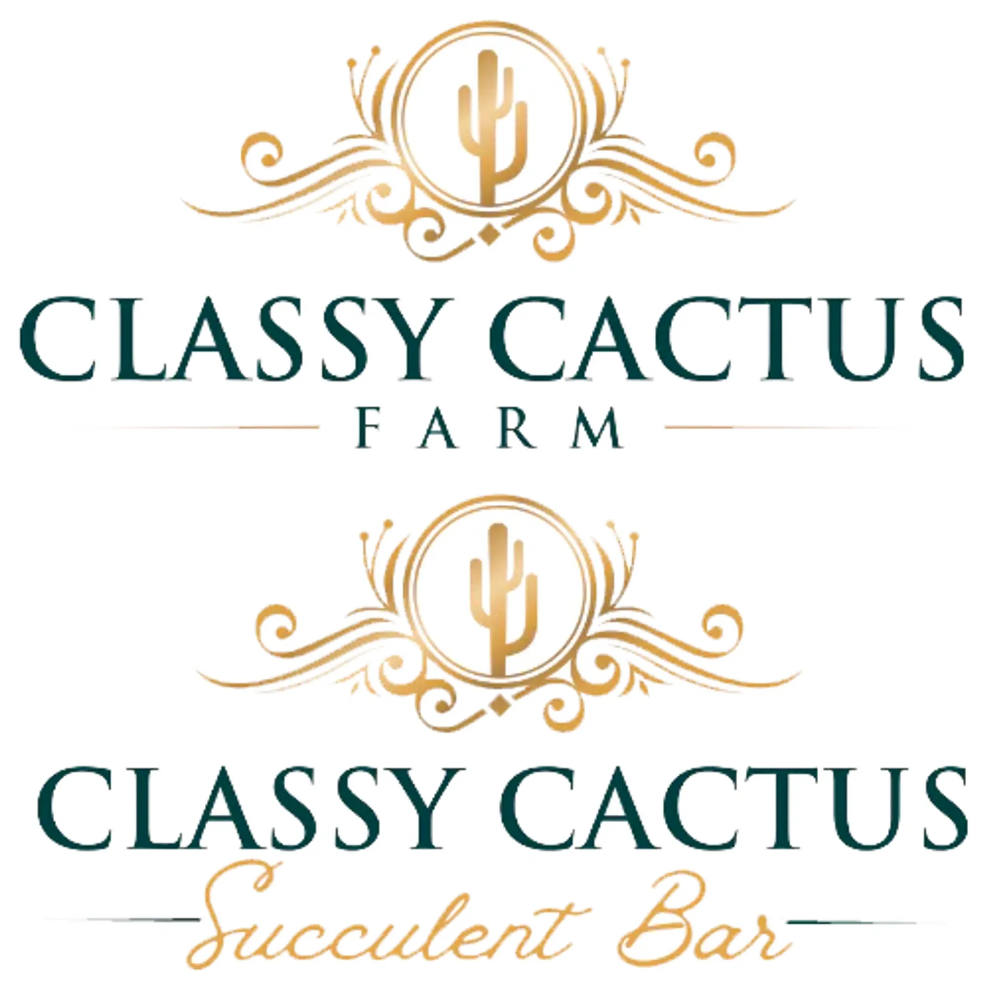 Classy Cactus Farm