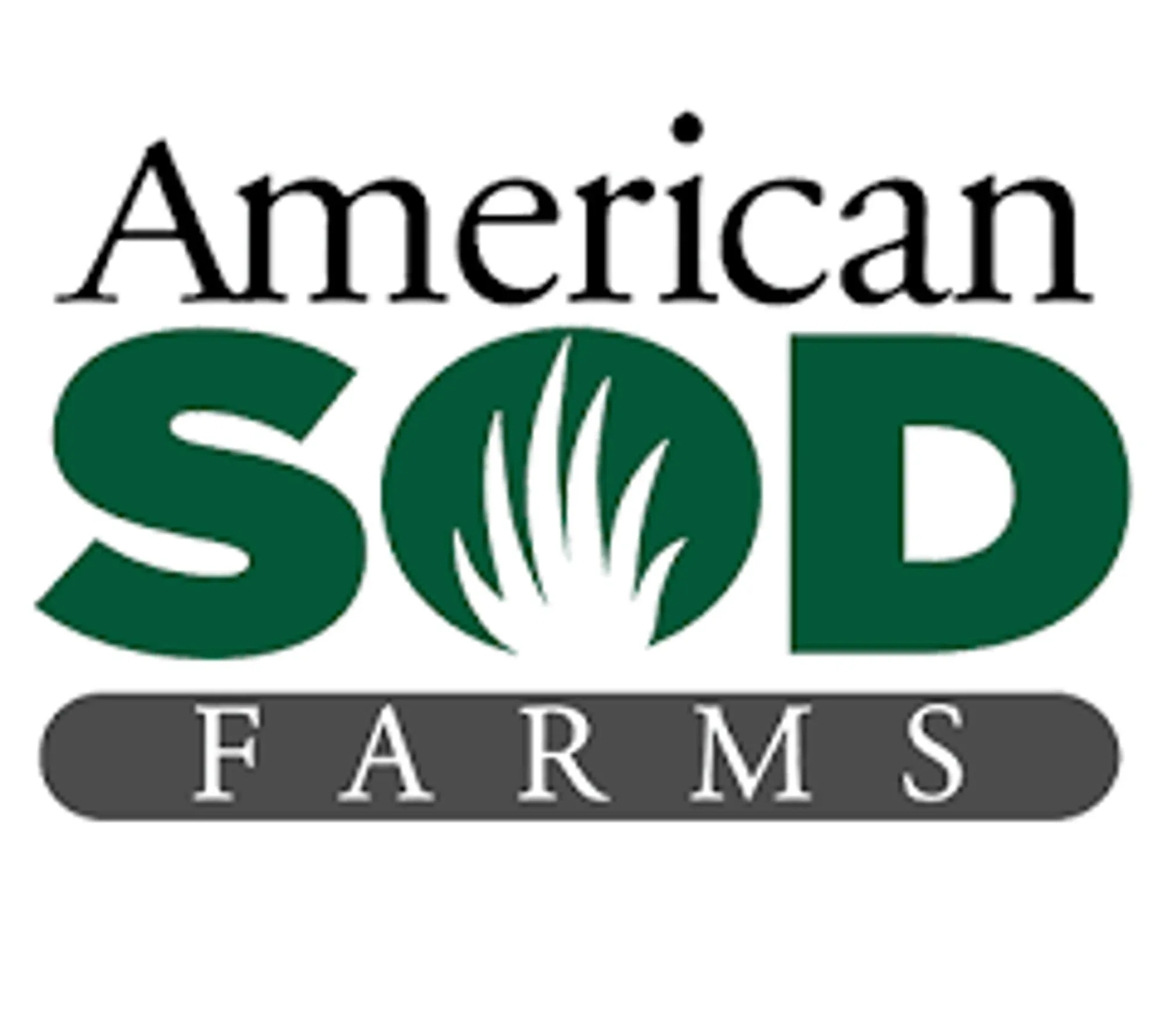 American Sod Turf Grass