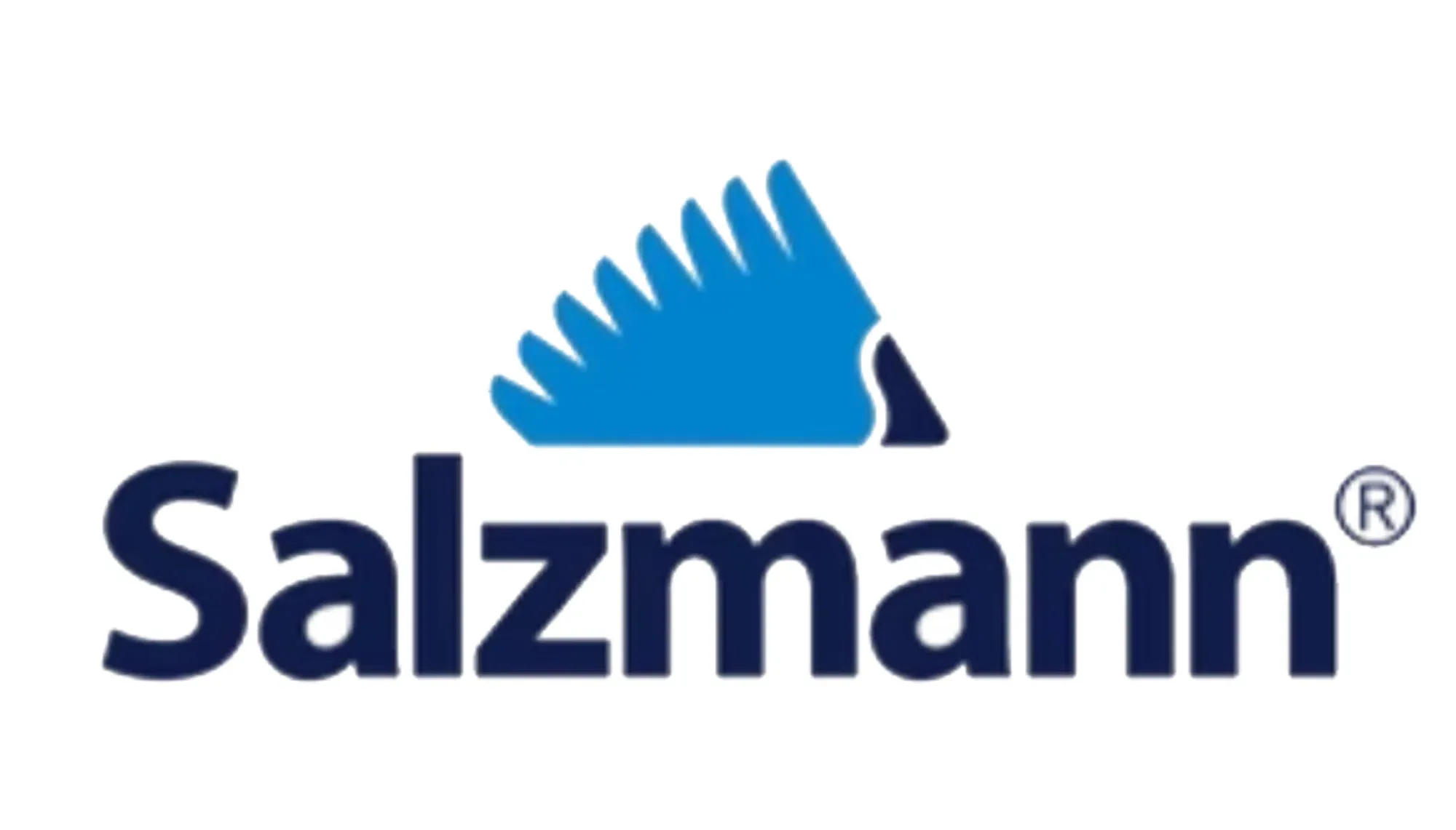 salzmannltd.com