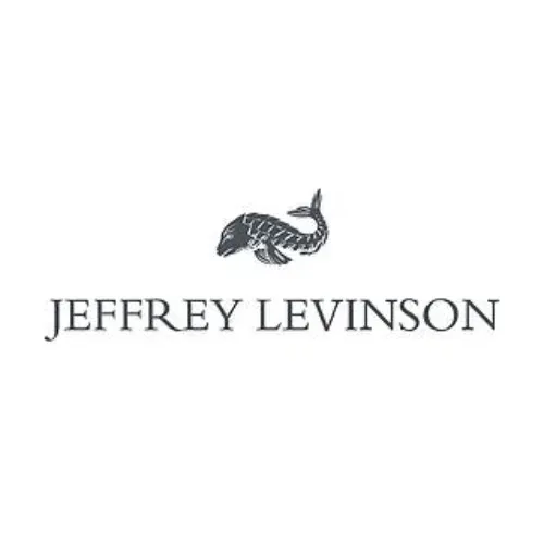 jeffreylevinson.com