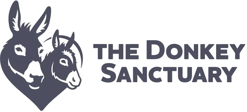 The Donkey Sanctuary