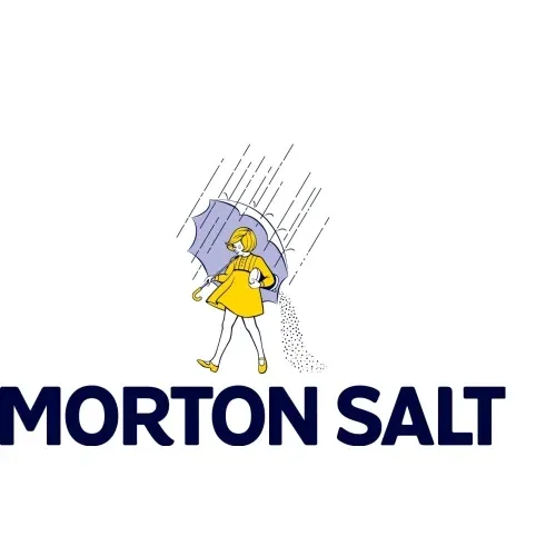 mortonsalt.com