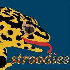 Stroodies