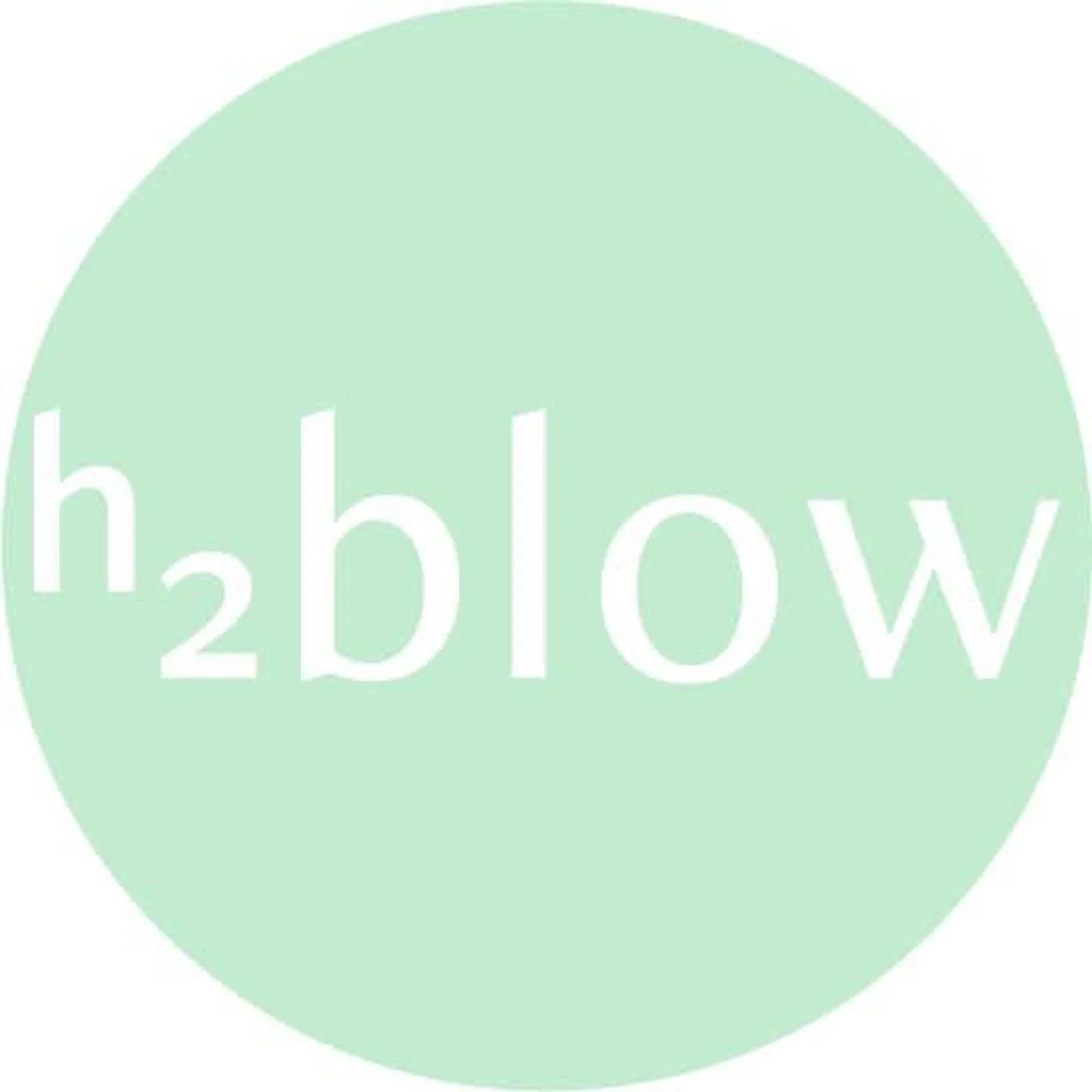 h2blowdrybar.com