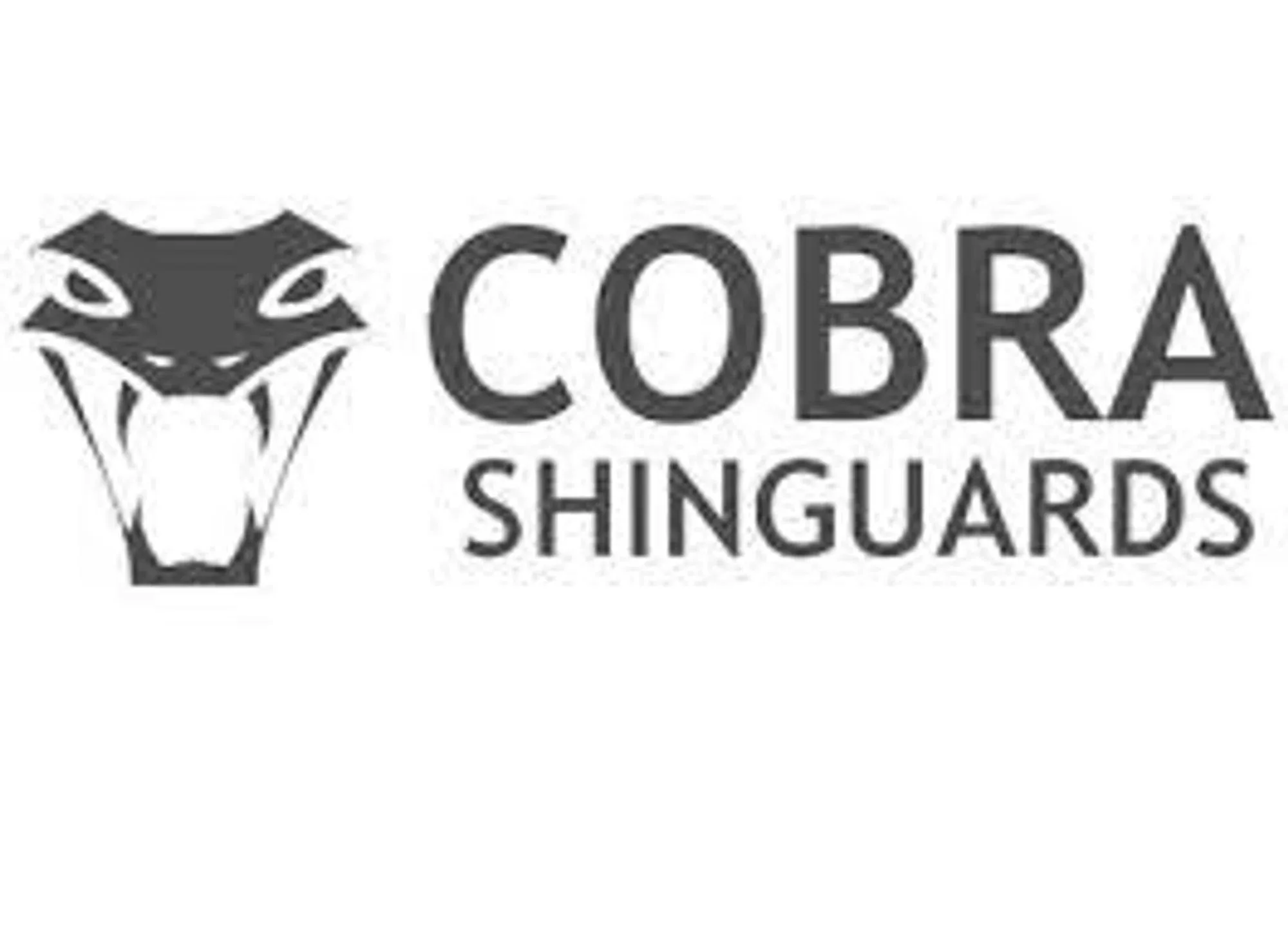 Cobra Shin Guards