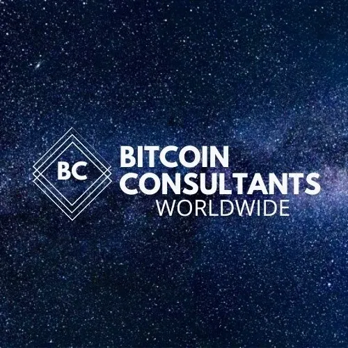 bitcoinconsultants.world