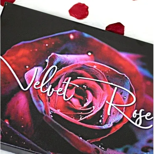 Velvet Rose Fashion Boutique