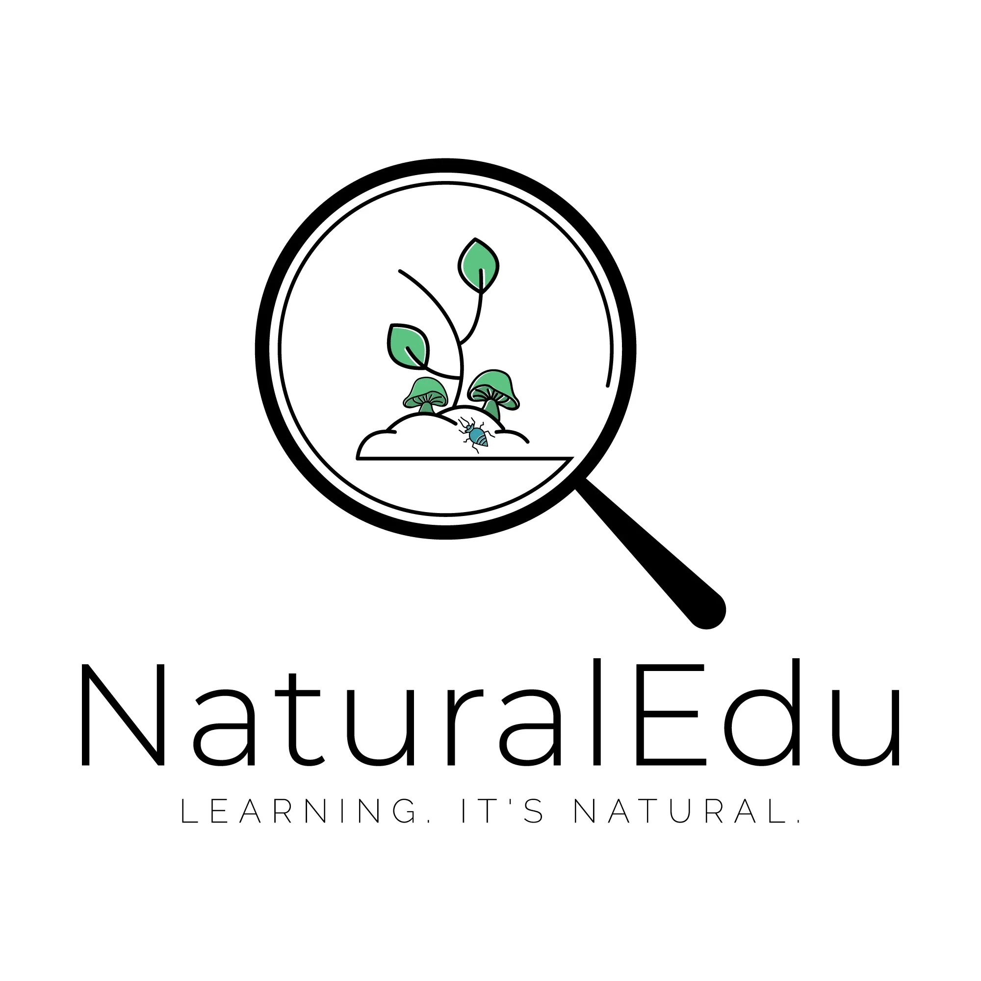 Natural Learning Enterprises