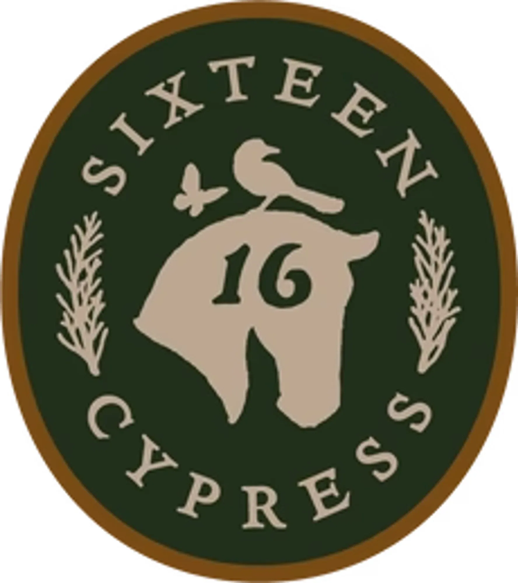 Sixteen Cypress