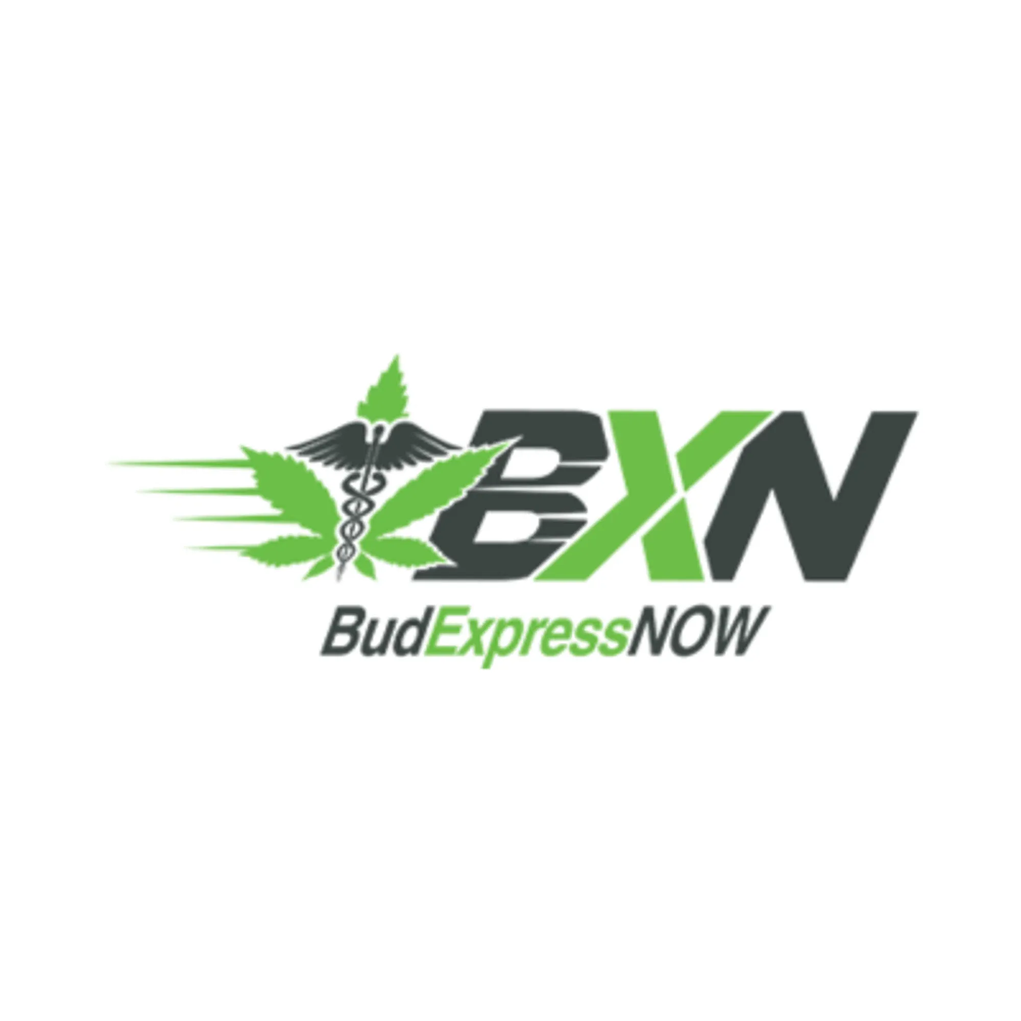 budexpressnow.co