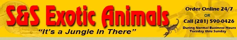 sandsexoticanimals.com