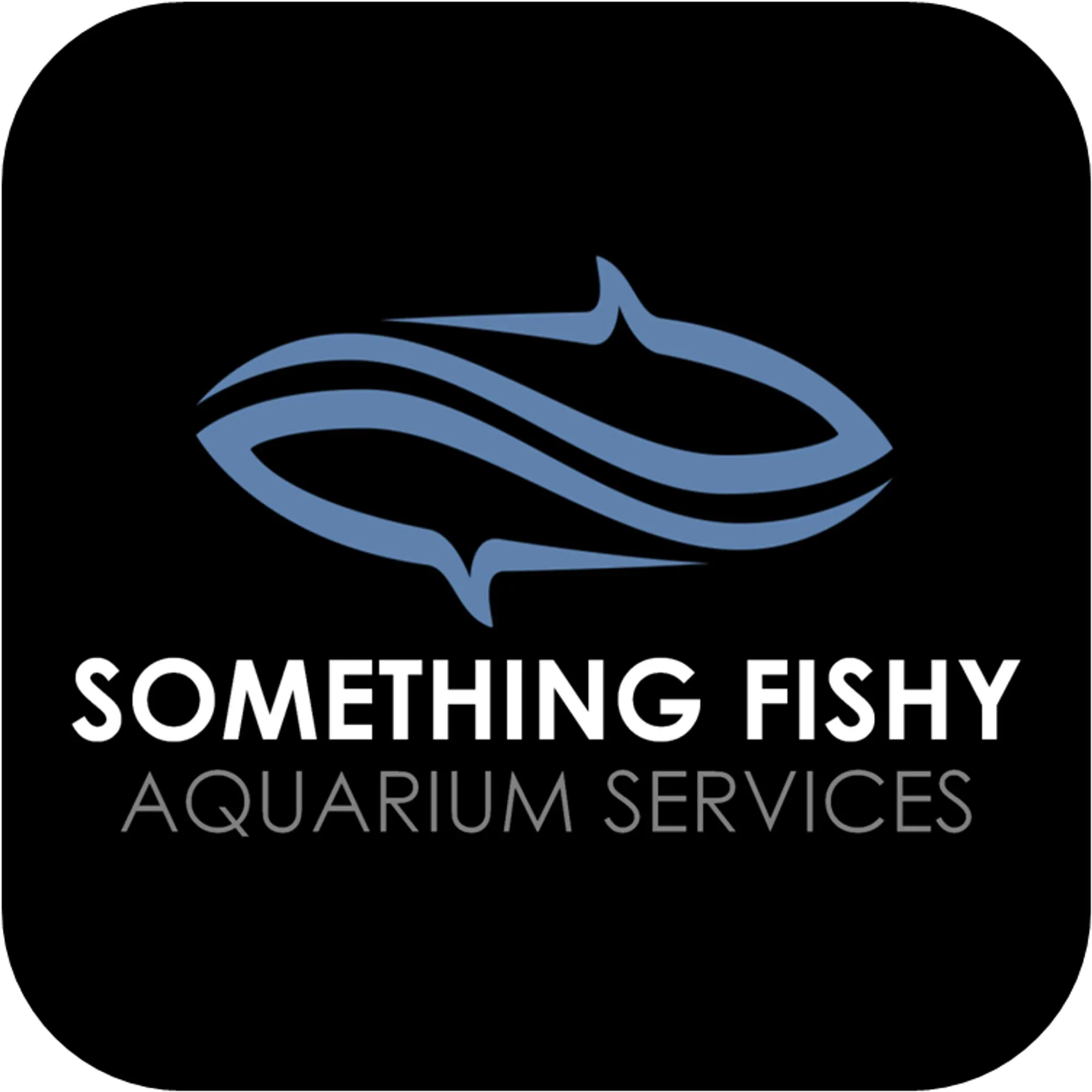 somethingfishyinc.com