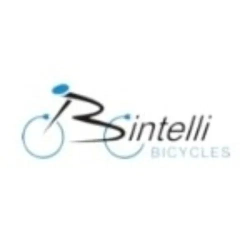 bintellibicycles.com