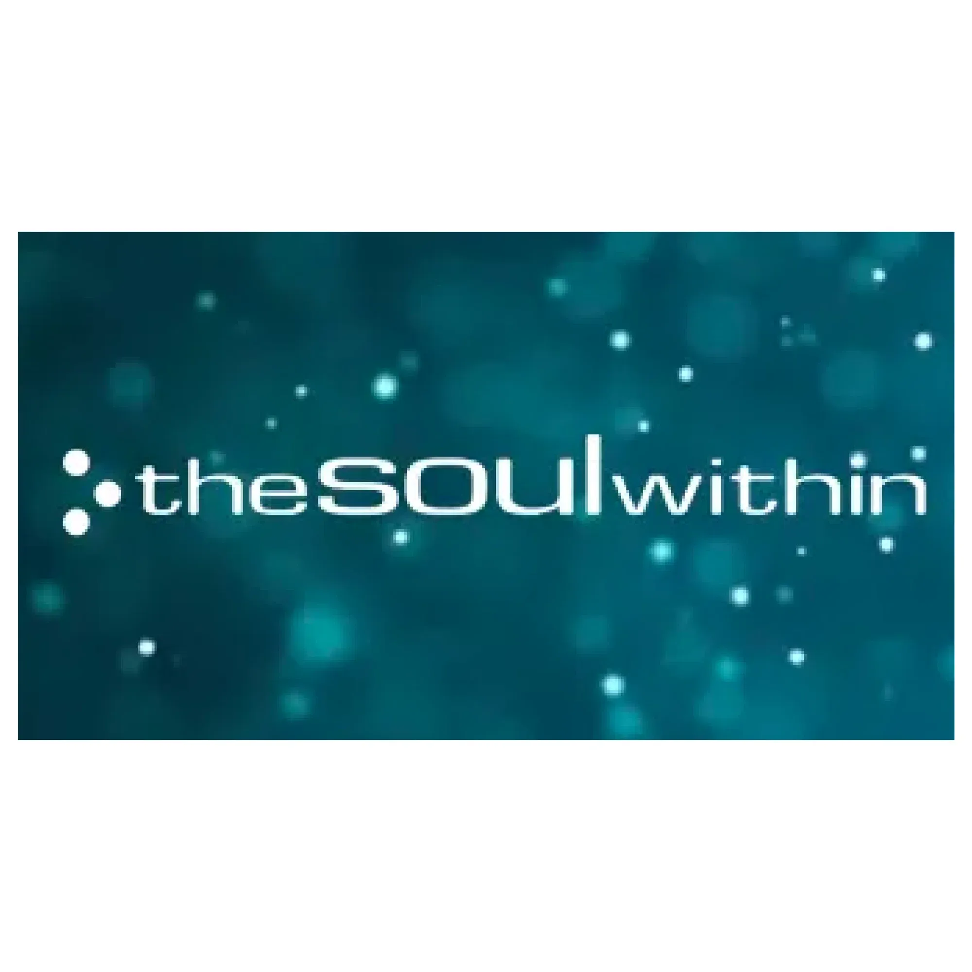 thesoulwithin.com