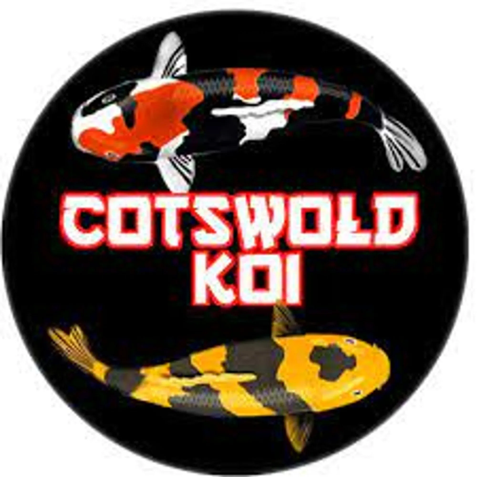 Cotswold Koi