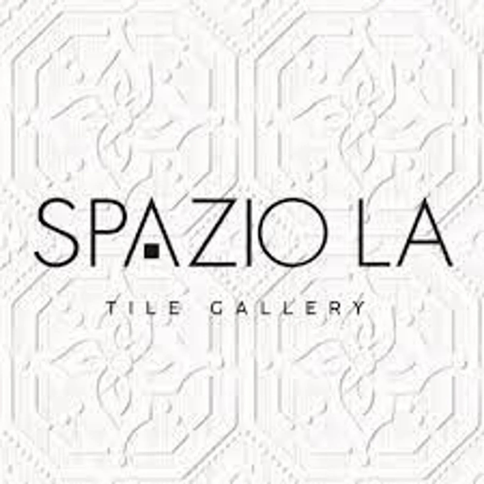 spaziolatilegallery.com