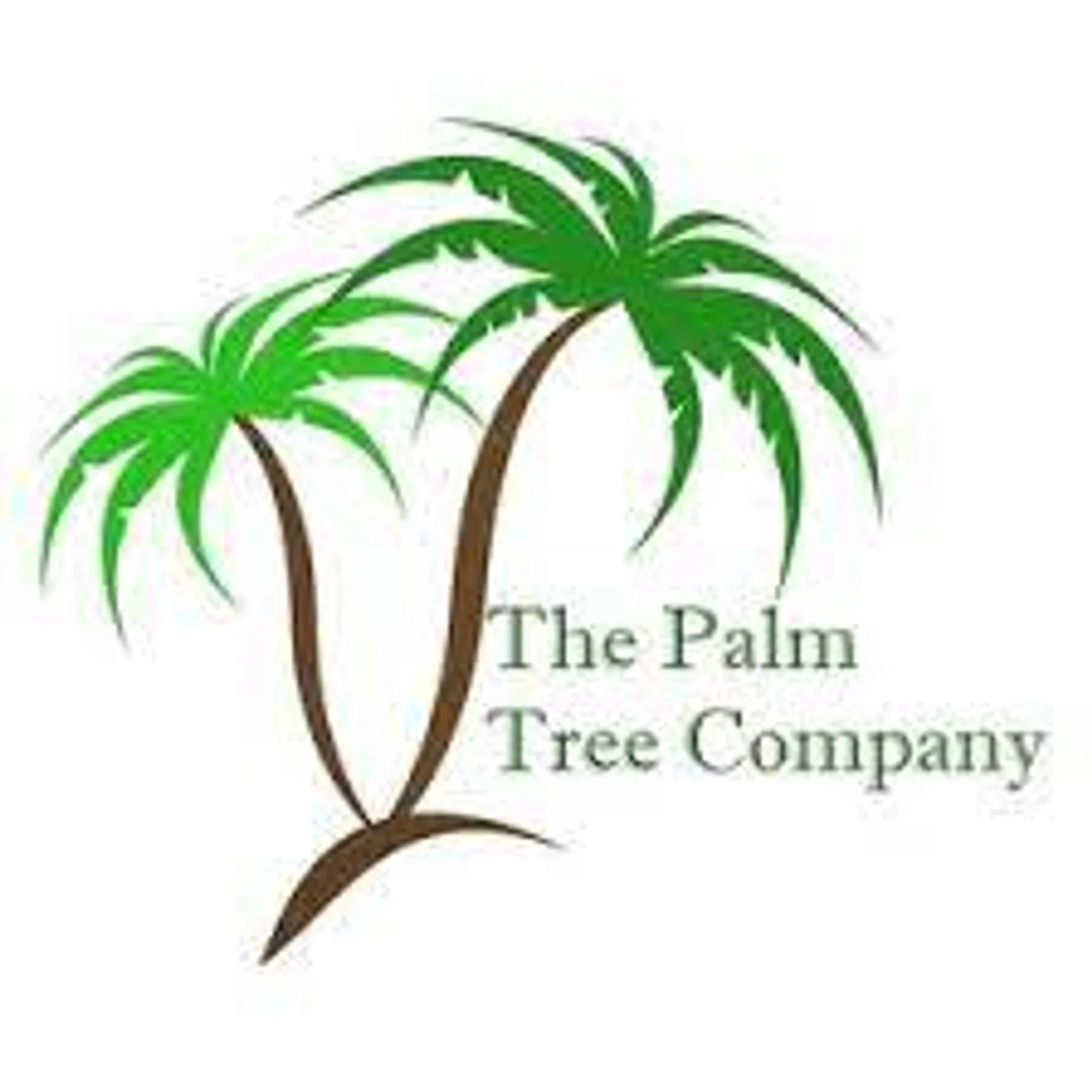 The Palm Tree Company