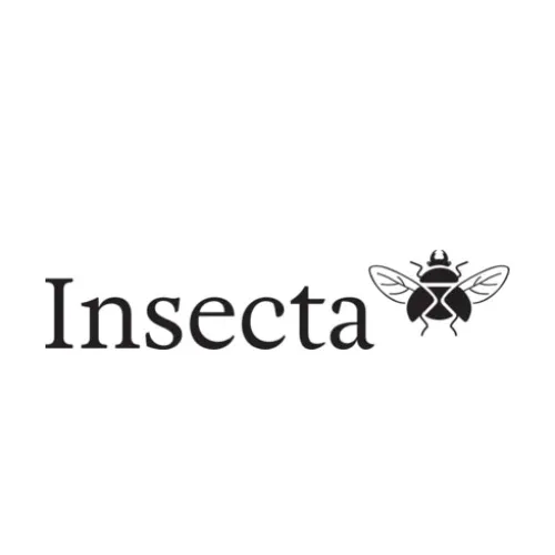 Insecta Shoes