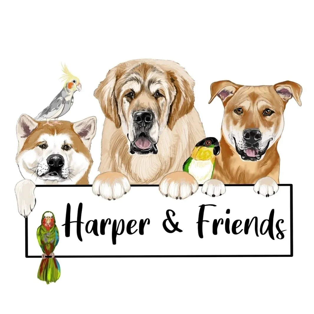 Harper & Friends