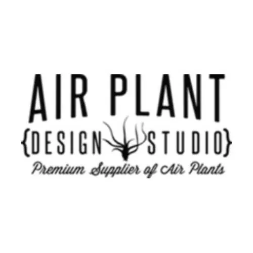 Air Plant Shop