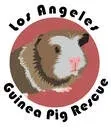 Guinea Pig Rescue