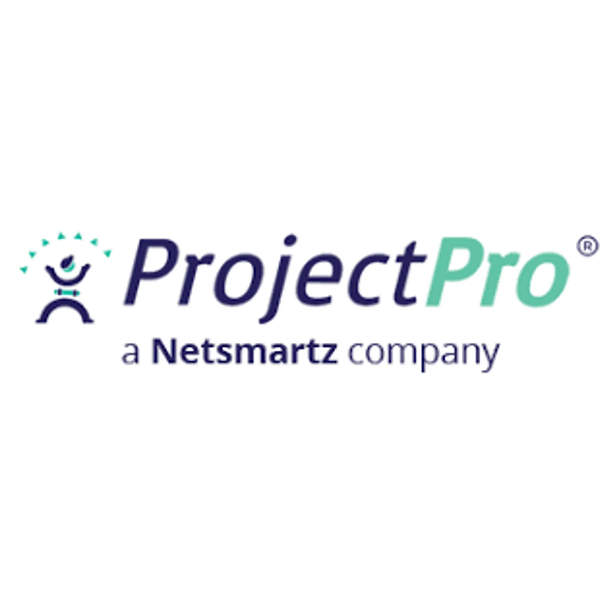 projectpro365.com