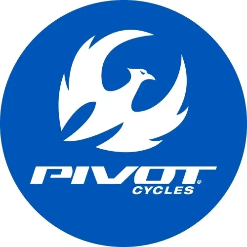 Pivot Cycles