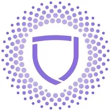 Paladin Blockchain Security