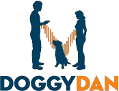 doggydan.co.nz