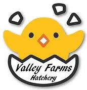 valley farms hatchery