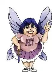 FlyLady