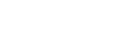 strelitziaflowercompany.com