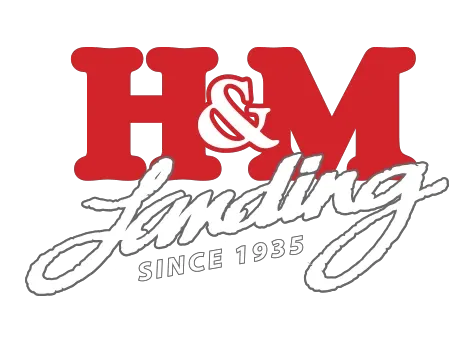 H&M Landing