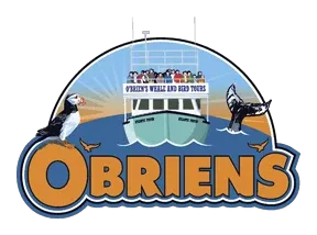 o brien's boat tour