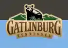 gatlinburg.com