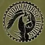 Workhorse Irons