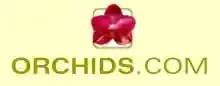 Orchids.com