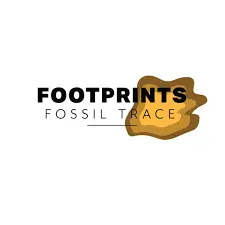 Fossil Trace