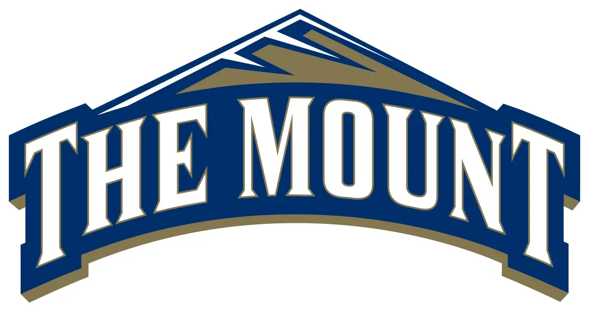 Mount St Mary's University