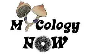 Mycology Now