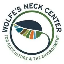 Wolfe's Neck