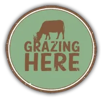 Grazing Here