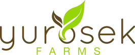 yurosekfarms.com