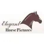 Elegant Horse Pictures