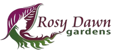 rosy dawn gardens